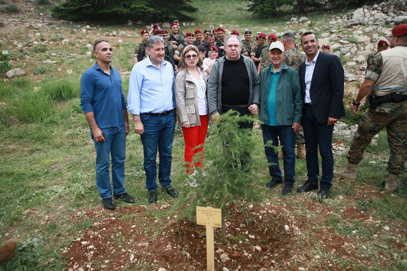 Cedar tree in memory of the Lebanese Commandos Regiment founder